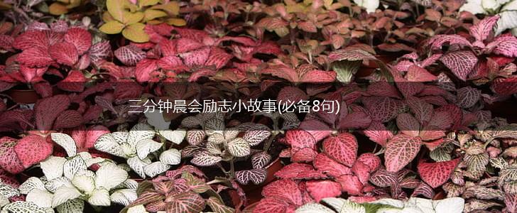 三分钟晨会励志小故事(必备8句),第1张