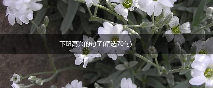 下班高兴的句子(精选70句),第1张