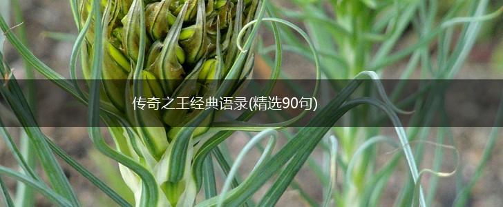 传奇之王经典语录(精选90句),第1张