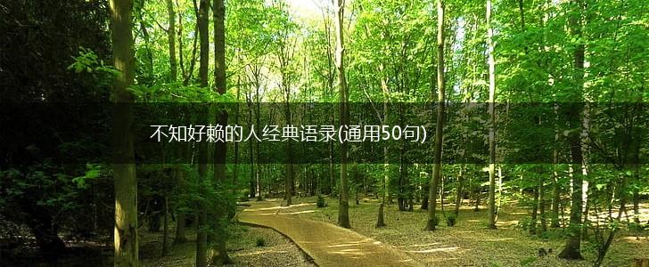 不知好赖的人经典语录(通用50句),第1张