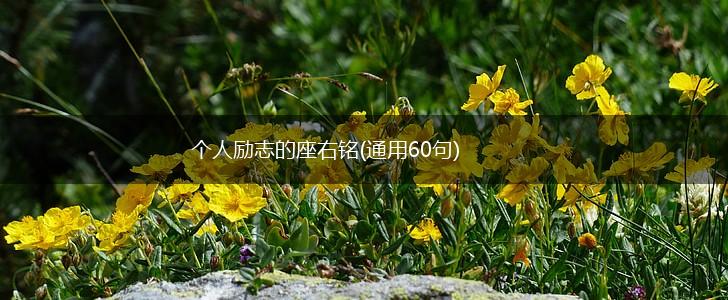 个人励志的座右铭(通用60句),第1张