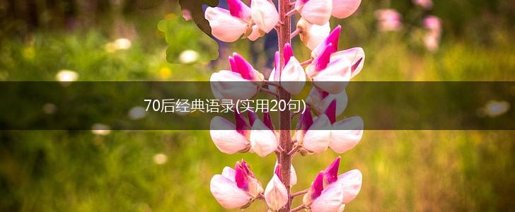 70后经典语录(实用20句),第1张