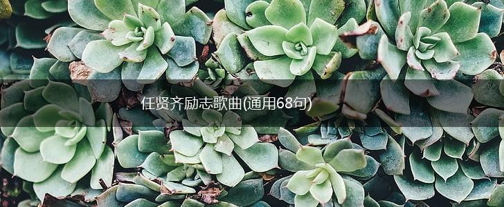 任贤齐励志歌曲(通用68句),第1张
