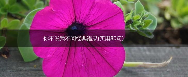 你不说我不问经典语录(实用80句),第1张