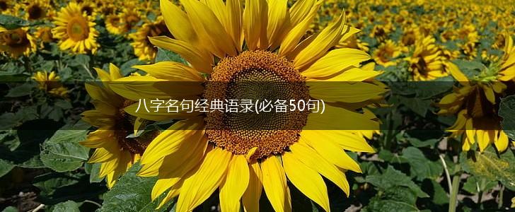 八字名句经典语录(必备50句),第1张