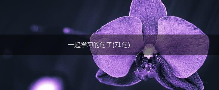 一起学习的句子(71句),第1张