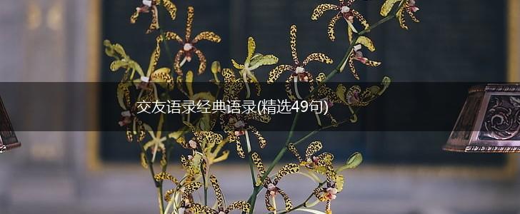 交友语录经典语录(精选49句),第1张