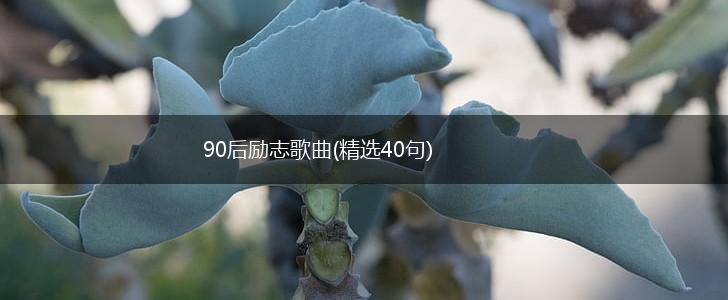90后励志歌曲(精选40句),第1张