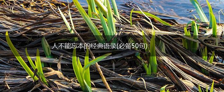 人不能忘本的经典语录(必备50句),第1张