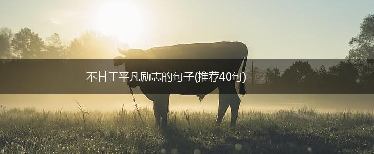 不甘于平凡励志的句子(推荐40句),第1张