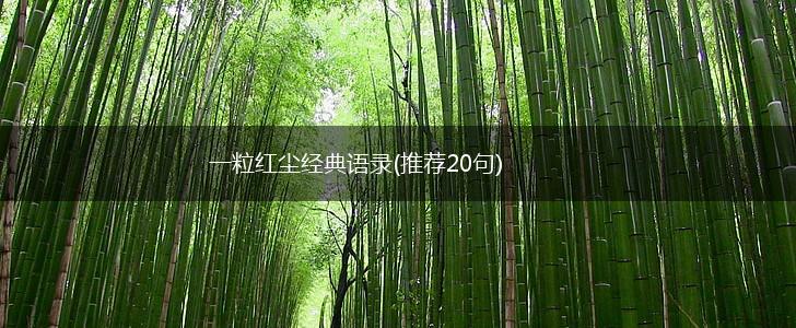 一粒红尘经典语录(推荐20句),第1张