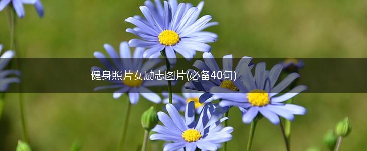 健身照片女励志图片(必备40句),第1张