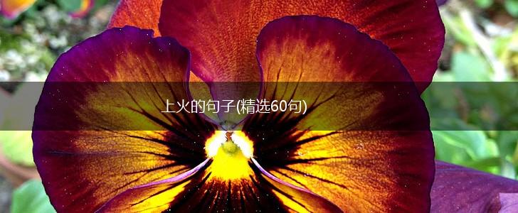 上火的句子(精选60句),第1张