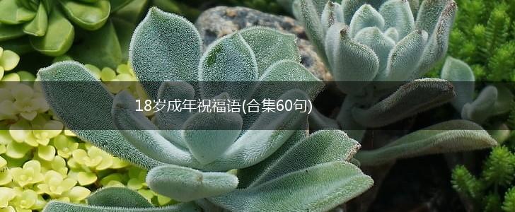 18岁成年祝福语(合集60句),第1张
