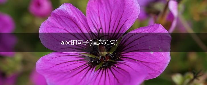 abc的句子(精选51句),第1张