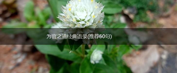 为官之道经典语录(推荐60句),第1张