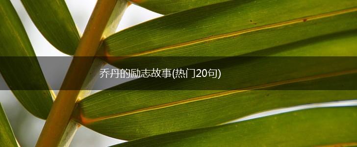 乔丹的励志故事(热门20句),第1张