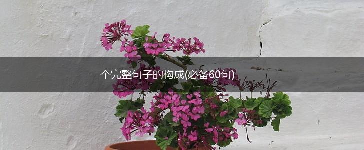 一个完整句子的构成(必备60句),第1张