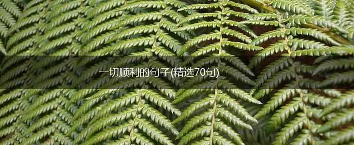 一切顺利的句子(精选70句),第1张