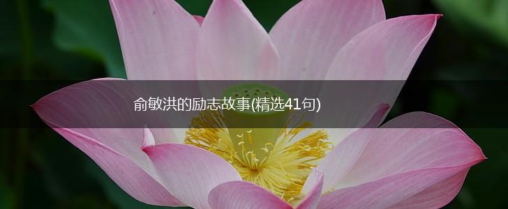 俞敏洪的励志故事(精选41句),第1张