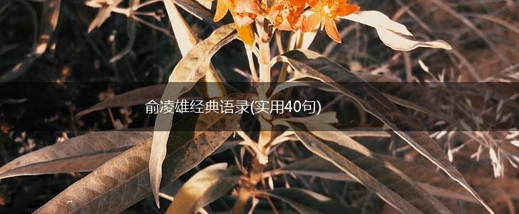 俞凌雄经典语录(实用40句),第1张