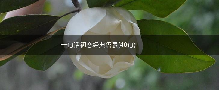 一句话初恋经典语录(40句),第1张