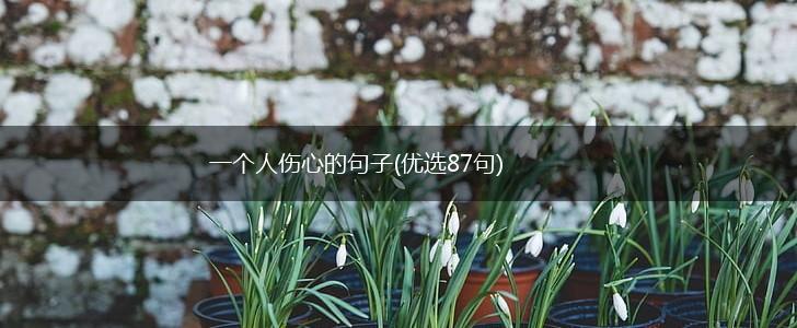 一个人伤心的句子(优选87句),第1张