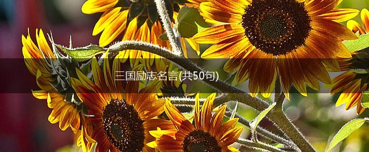 三国励志名言(共50句),第1张