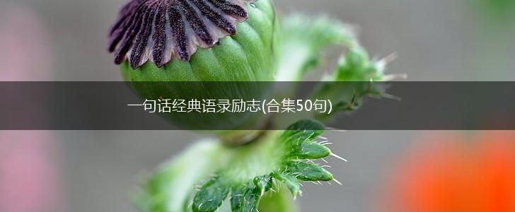 一句话经典语录励志(合集50句),第1张