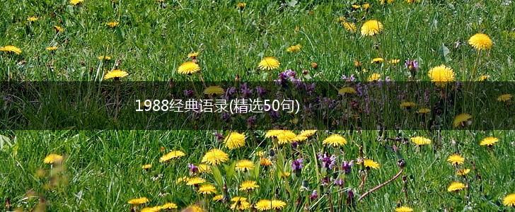 1988经典语录(精选50句),第1张