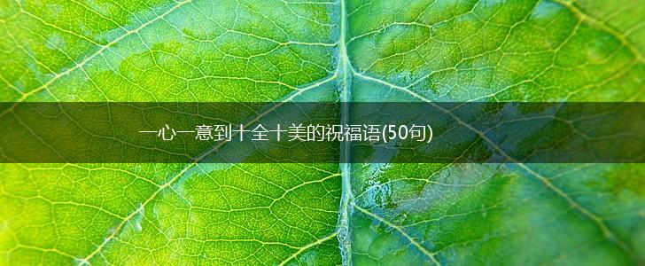 一心一意到十全十美的祝福语(50句),第1张