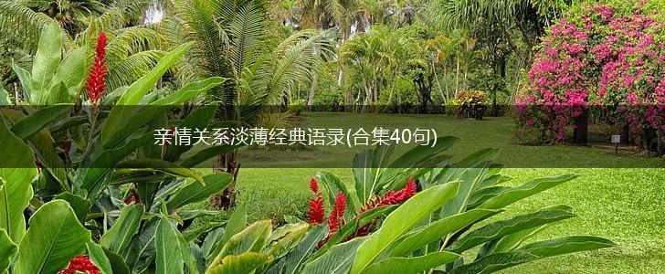 亲情关系淡薄经典语录(合集40句),第1张