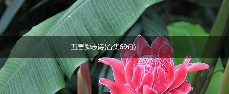 五言励志诗(合集69句),第1张