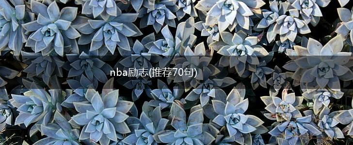 nba励志(推荐70句),第1张