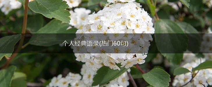 个人经典语录(热门60句),第1张