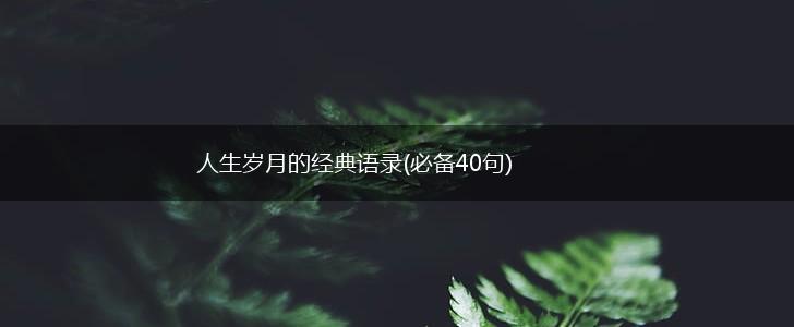 人生岁月的经典语录(必备40句),第1张