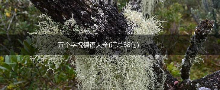 五个字祝福语大全(汇总38句),第1张
