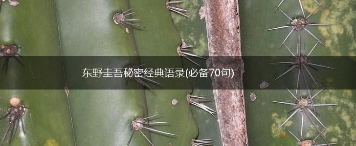 东野圭吾秘密经典语录(必备70句),第1张