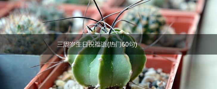 三周岁生日祝福语(热门60句),第1张