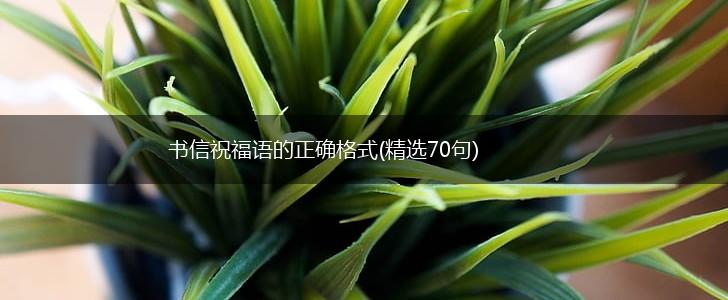 书信祝福语的正确格式(精选70句),第1张