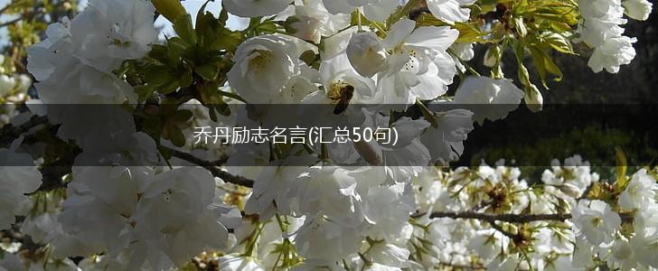 乔丹励志名言(汇总50句),第1张