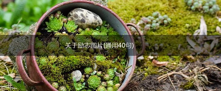 关于励志图片(通用40句),第1张
