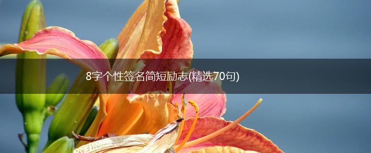 8字个性签名简短励志(精选70句),第1张