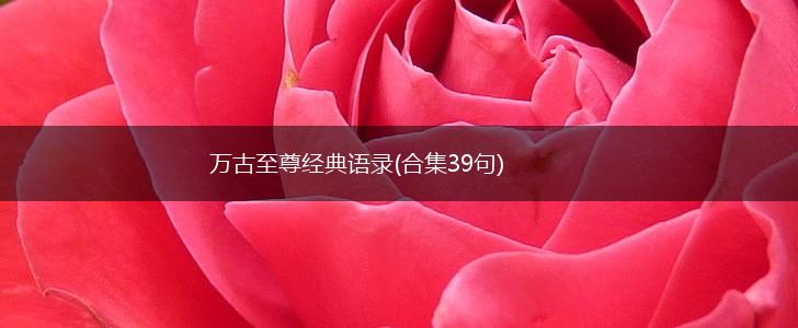 万古至尊经典语录(合集39句),第1张