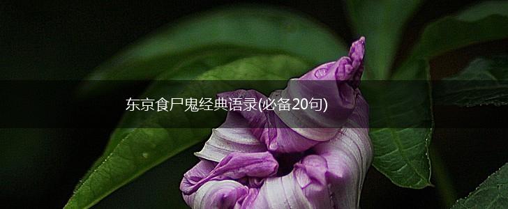 东京食尸鬼经典语录(必备20句),第1张