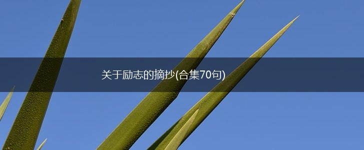 关于励志的摘抄(合集70句),第1张