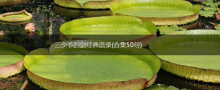 三少爷的剑经典语录(合集50句),第1张