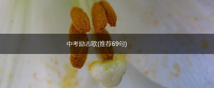 中考励志歌(推荐69句),第1张
