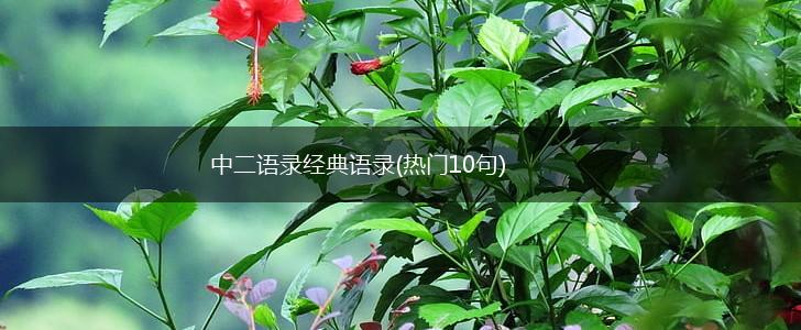 中二语录经典语录(热门10句),第1张