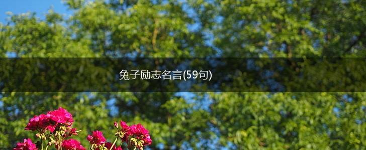 兔子励志名言(59句),第1张